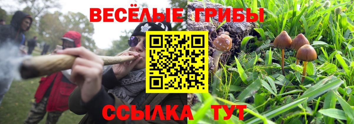 Галлюциногенные грибы Psilocybine cubensis  Галлюциногенные грибы GOLDEN TEACHER  хочу   Вход с VPN  Камень-на-Оби 